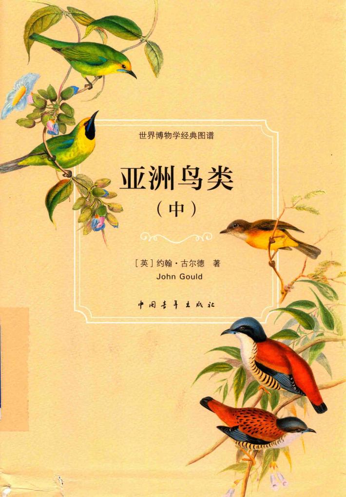 亚洲鸟类 中 封面