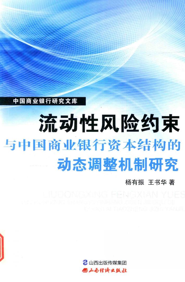 流动性风险约束与中国商业银行资本结构的动态调整机制研究 封面
