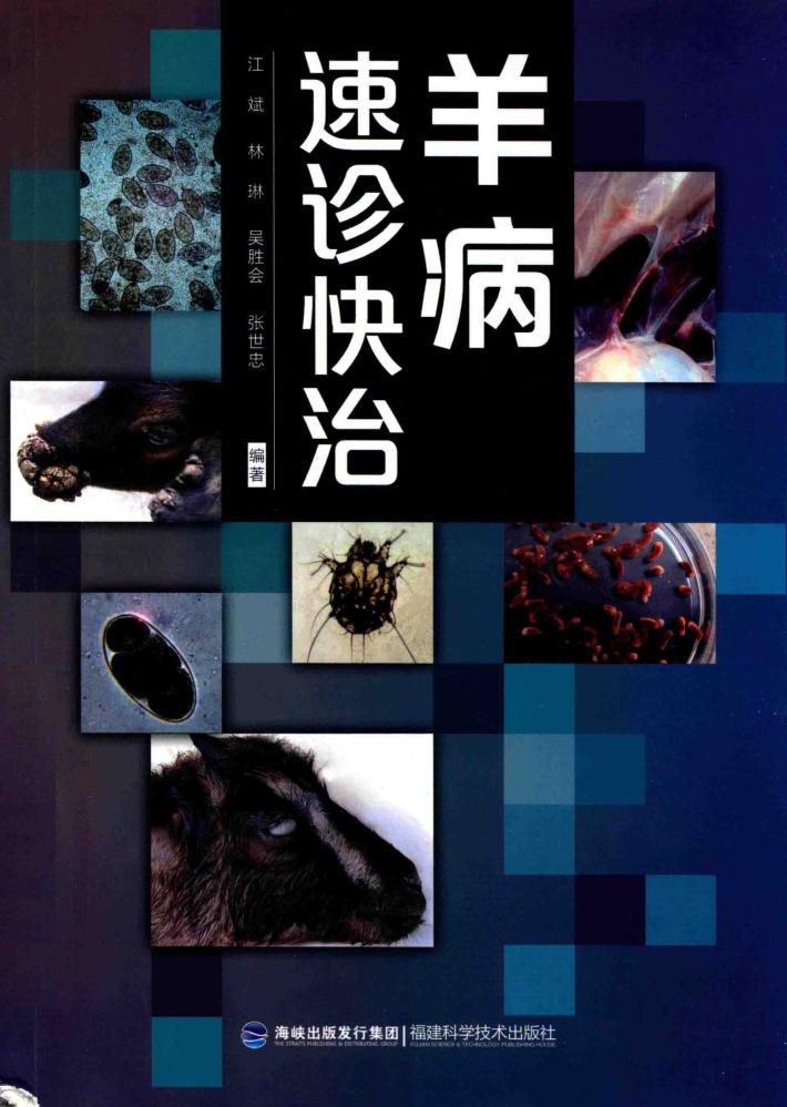 羊病速诊快治 封面