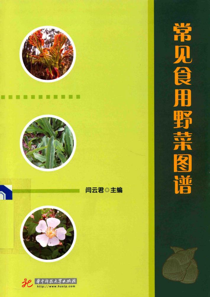 常见食用野菜图谱 封面
