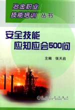安全技能应知应会500问 封面