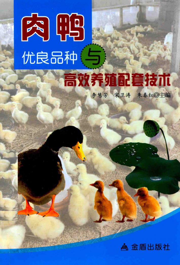 肉鸭优良品种与高效养殖配套技术 封面
