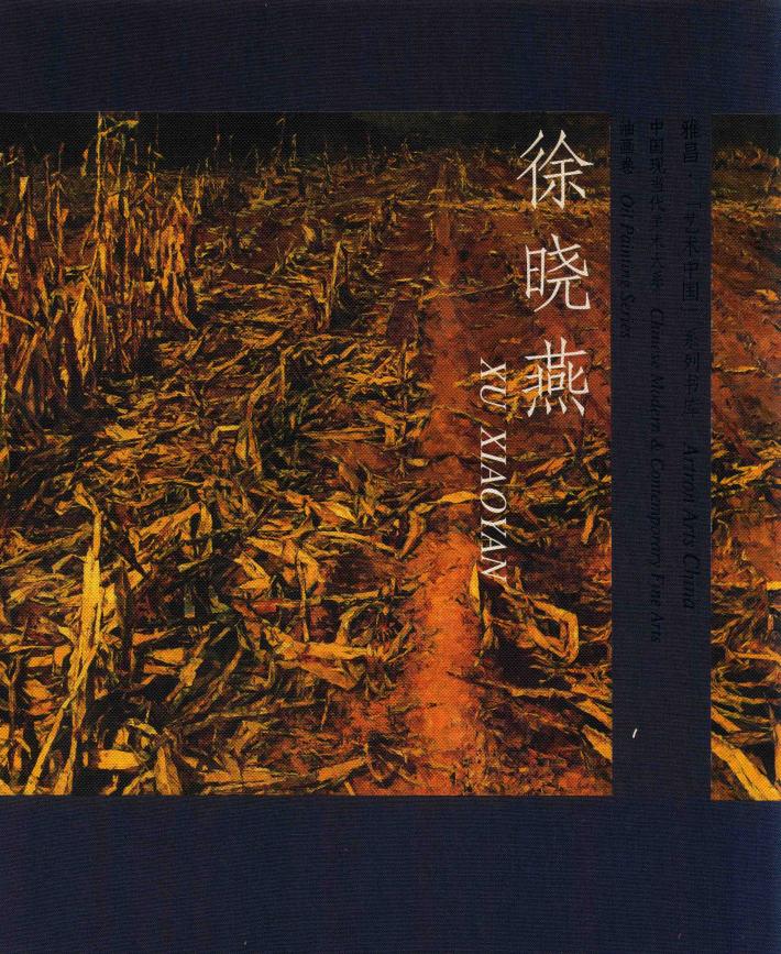 中国现当代美术大系  油画卷  徐晓燕  中英文本 封面