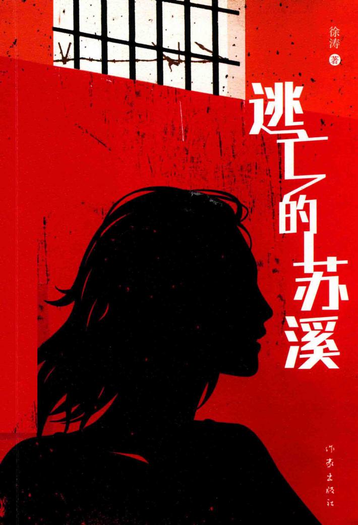 逃亡的苏溪 封面