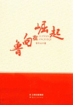 鲁甸在崛起 封面