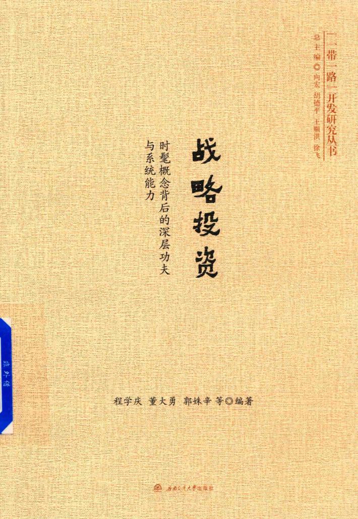 战略投资  时髦概念背后的深层功夫与系统能力 封面