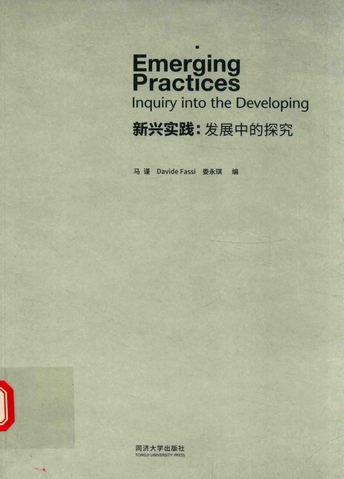 新兴实践  发展中的探究  英文 封面