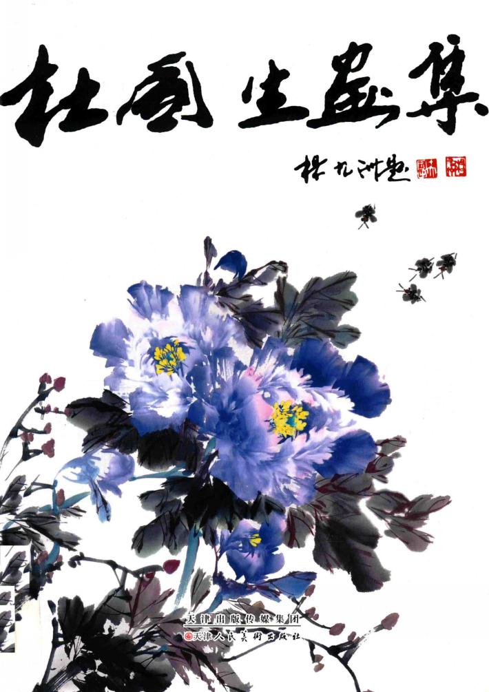 杜国生画集 封面