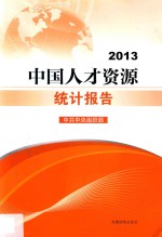 中国人才资源统计报告 2013 封面