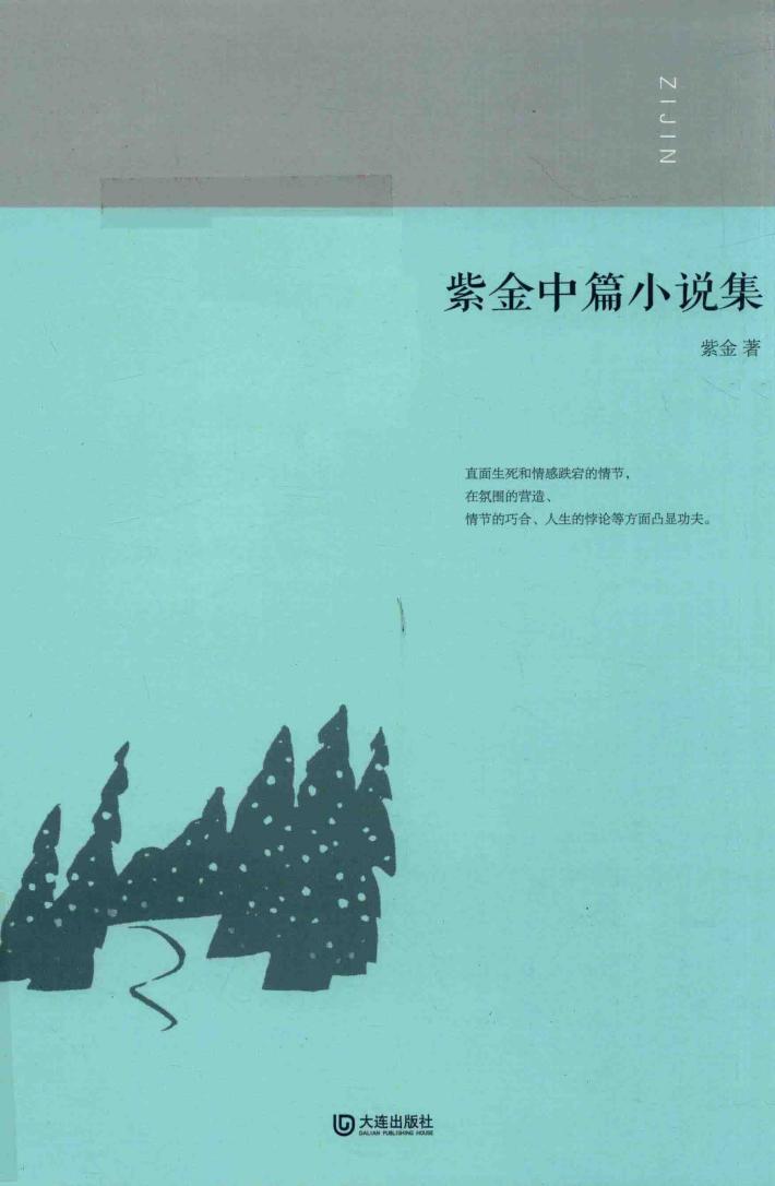 紫金中篇小说集 封面