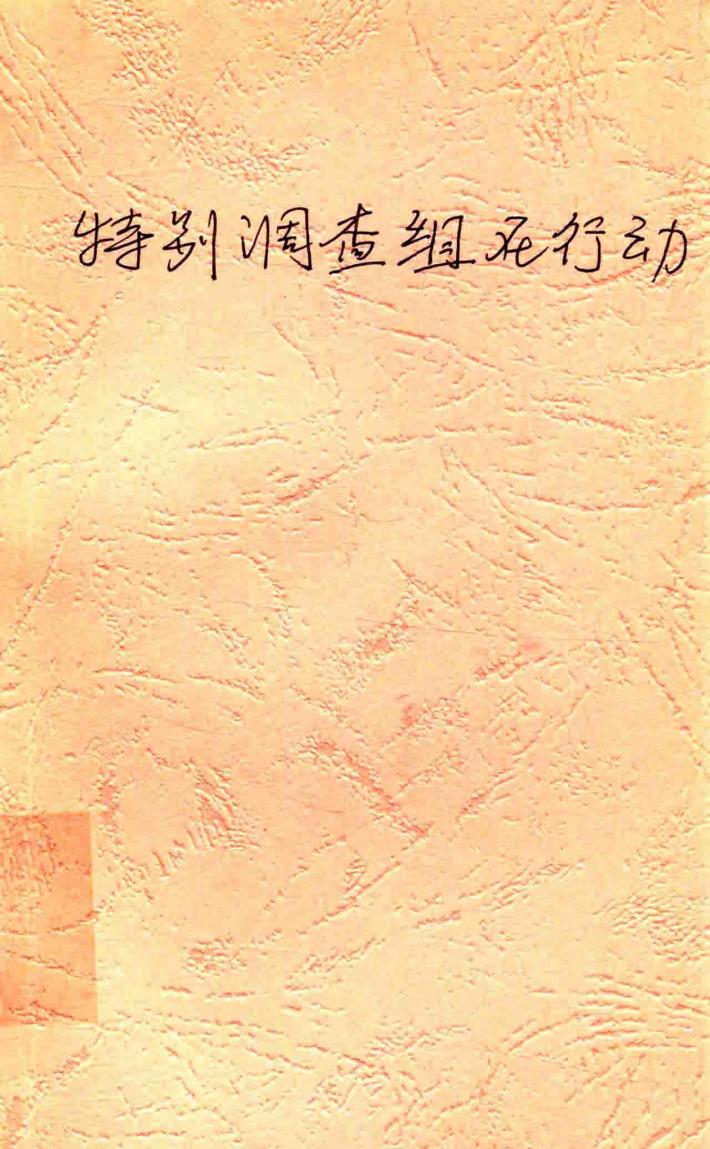 特别调查组在行动 封面