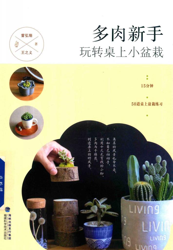 多肉新手  玩转桌上小盆栽 封面