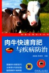 肉牛快速育肥与疾病防治 封面