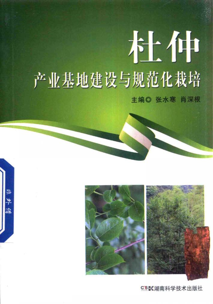 杜仲产业基地建设与规范化栽培 封面