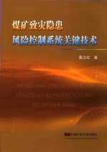 煤矿致灾隐患风险控制系统关键技术 封面