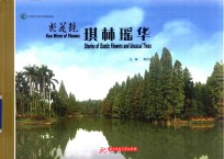 新花镜  琪林瑶华 封面