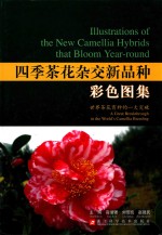 四季茶花杂交新品种彩色图集 封面