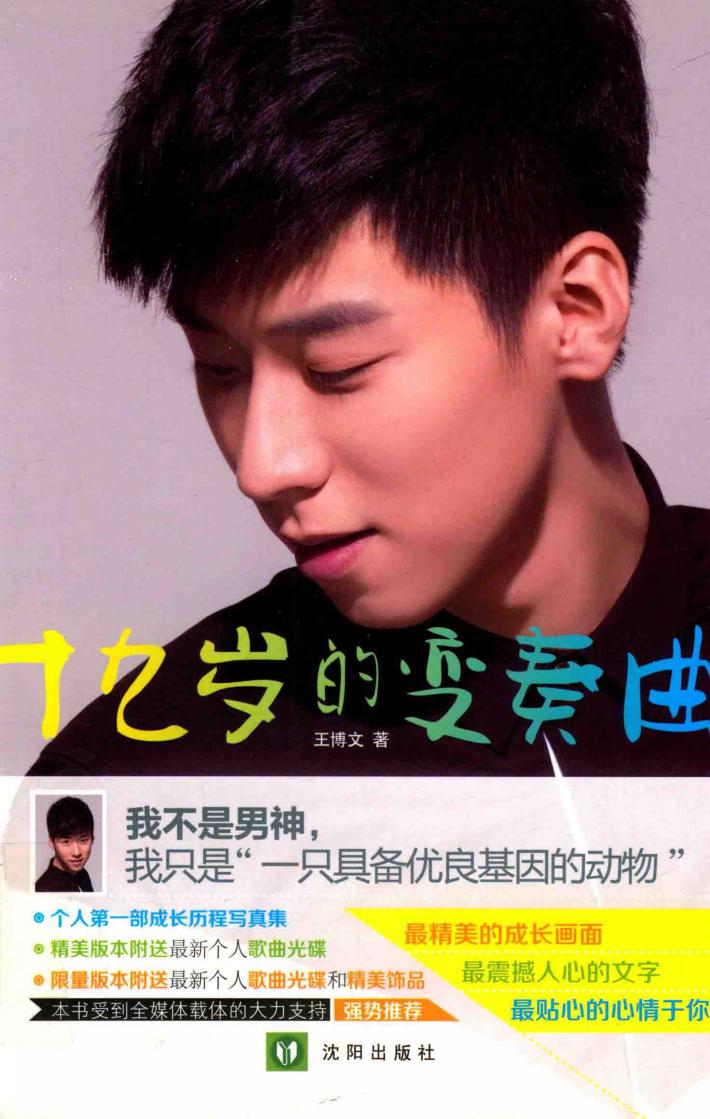 十九岁的变奏曲 封面