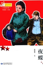 夜蝶 封面