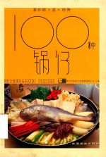 100种锅仔 电子书封面