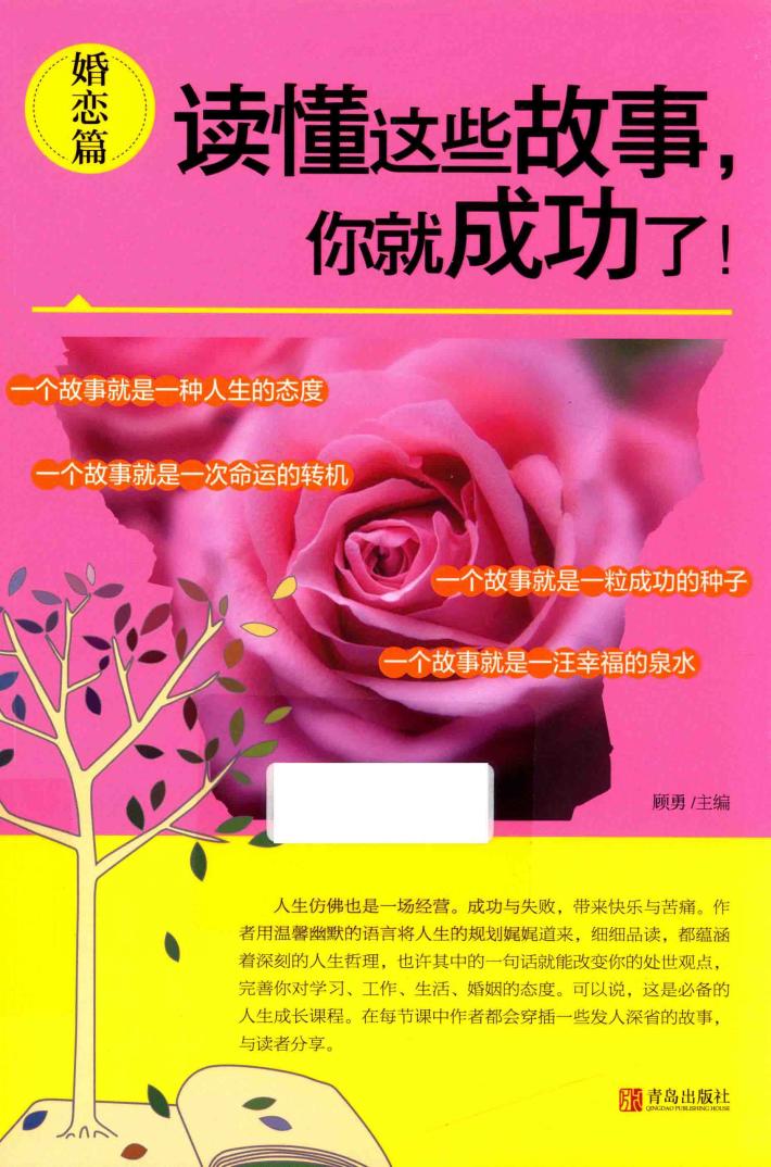 读懂这些故事，你就成功了！  婚恋篇 封面