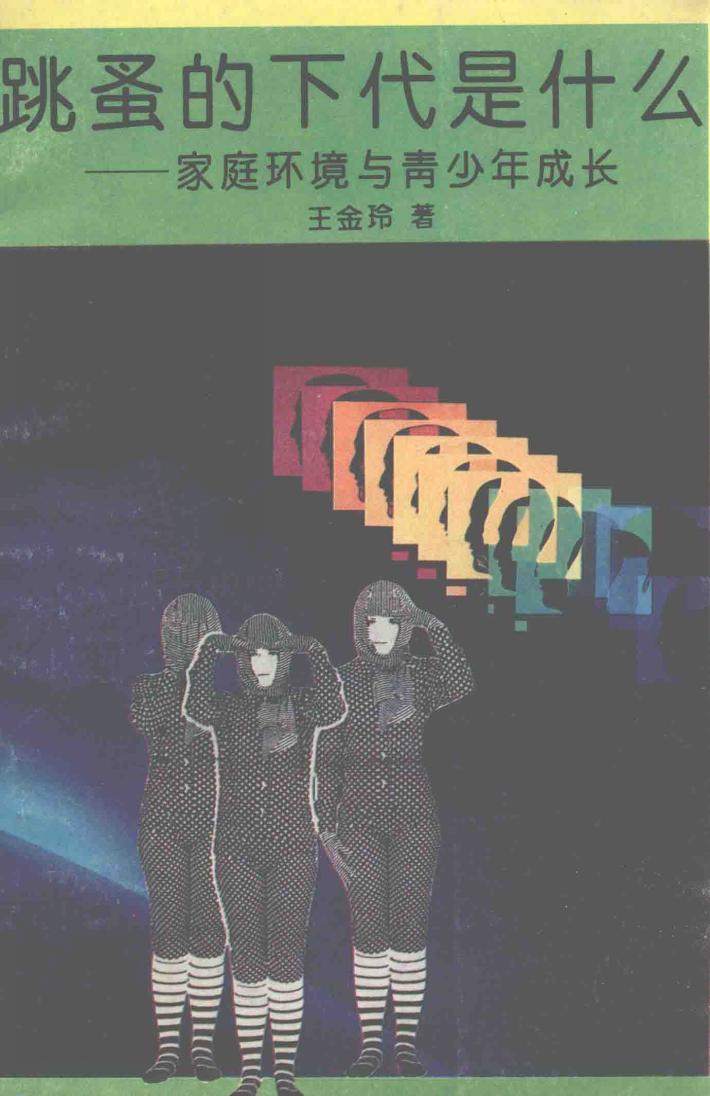 跳蚤的下代是什么  家庭环境与青少年成长 封面