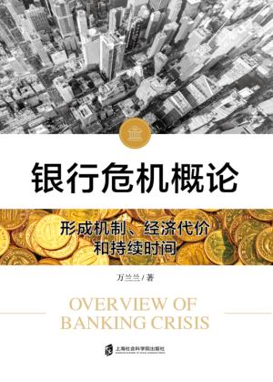 银行危机概论 形成机制、经济代价和持续时间 封面
