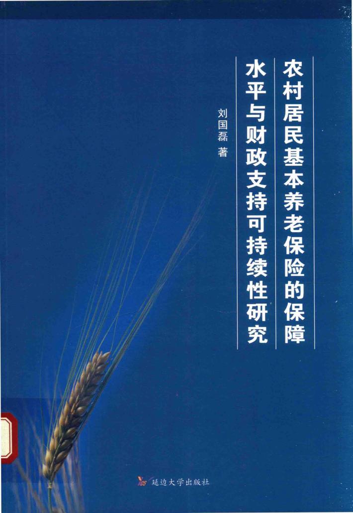 农村居民基本养老保险保障水平与财政支持可持续性研究 封面