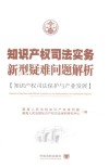 知识产权司法实务新型疑难问题解析  知识产权司法保护与产业发展 封面