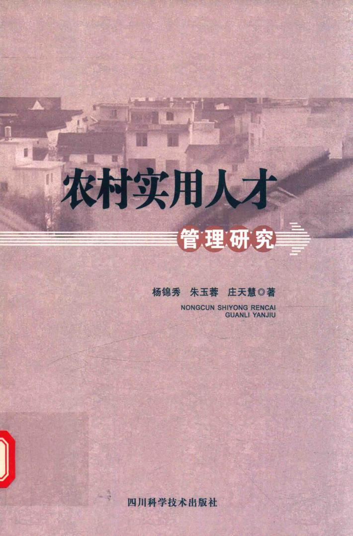 农村实用人才管理研究 封面