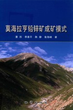 莫海拉亨成矿模式 封面