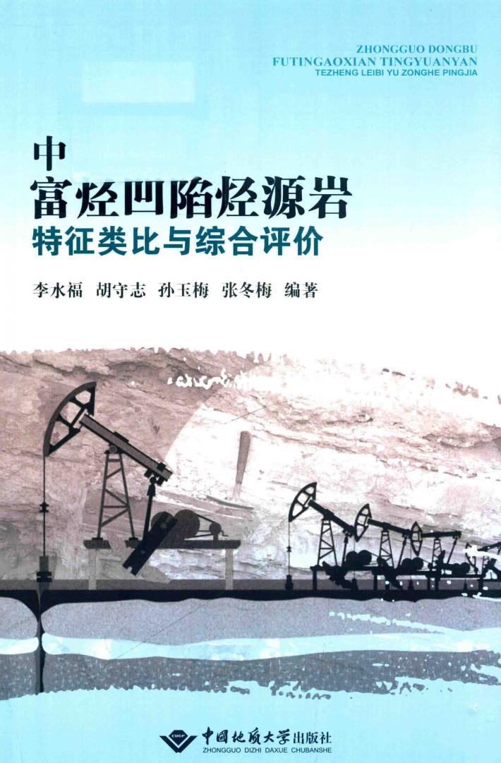 富烃凹陷烃源岩综合评价理论与方法及应用 封面