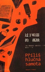 过于喧嚣的孤独 封面