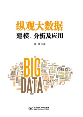 纵观大数据  建模、分析及应用 封面