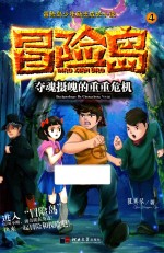 冒险岛少年励志成长小说  冒险岛  4  夺魂摄魄的重重危机 封面