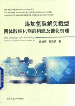 煤加氢裂解负载型固体酸催化剂的构建及催化机理 封面