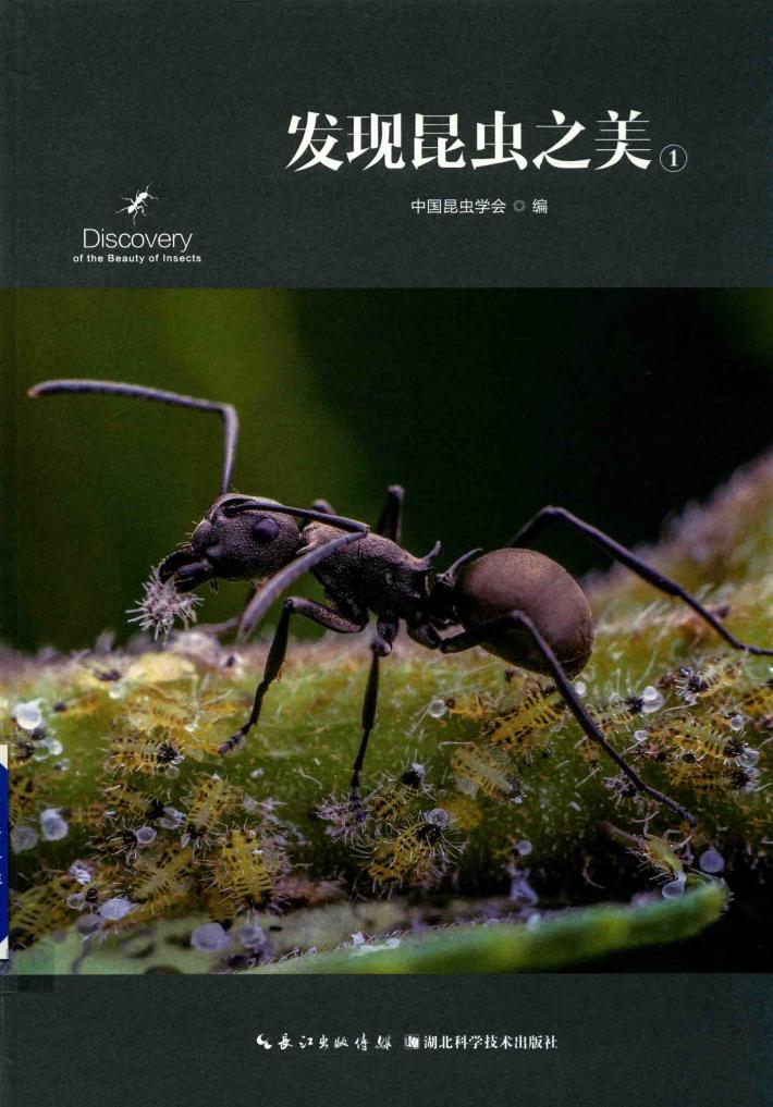 发现昆虫之美1 封面