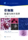 骨细胞图谱与体外培养 封面
