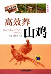高效养山鸡 封面