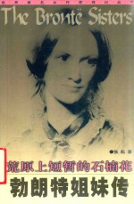荒原上短暂的石楠花  勃朗特姐妹传 封面