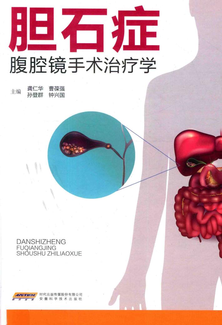 胆石症腹腔镜手术治疗学 封面