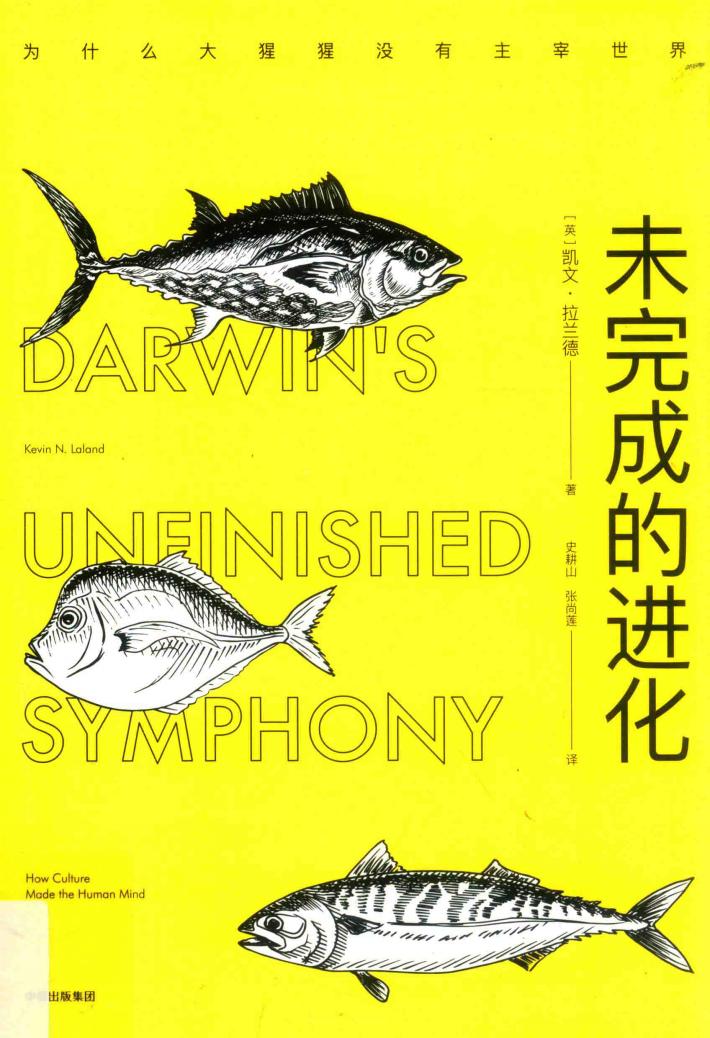 未完成的进化 为什么大猩猩没有主宰世界 封面