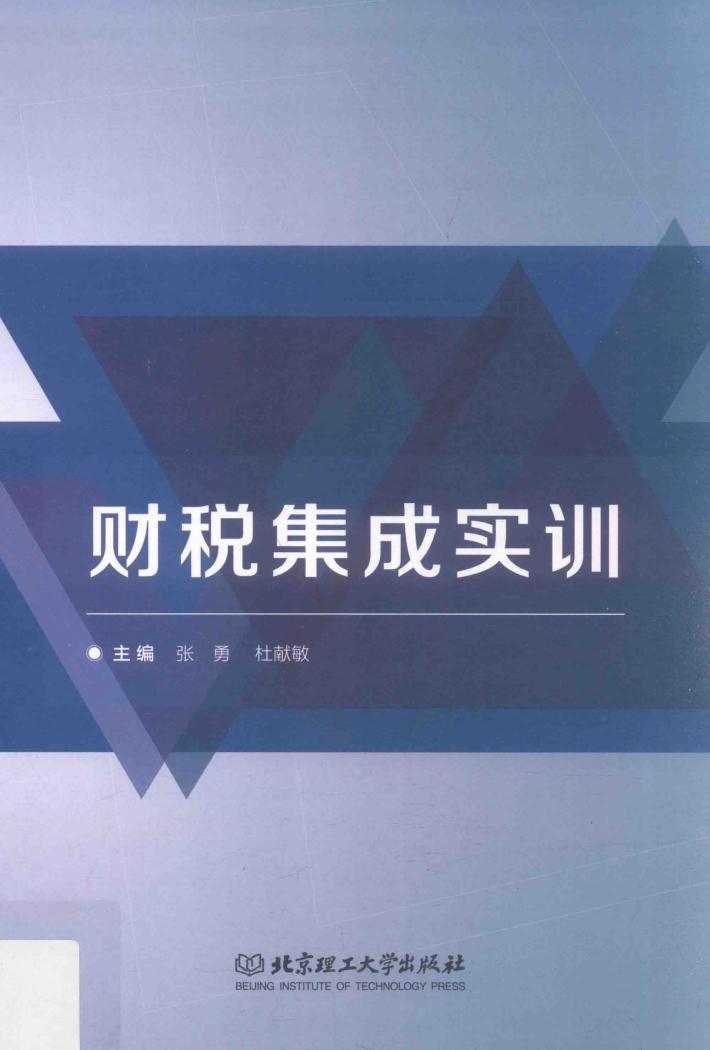 财税集成实训 封面