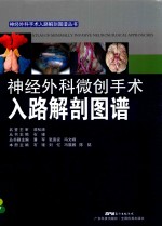 神经外科微创手术入路解剖图谱 封面