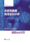 炎症性肠病诊断与治疗丛书  炎症性肠病病理鉴别诊断 封面