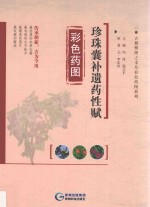 珍珠囊补遗药性赋彩色药图 封面