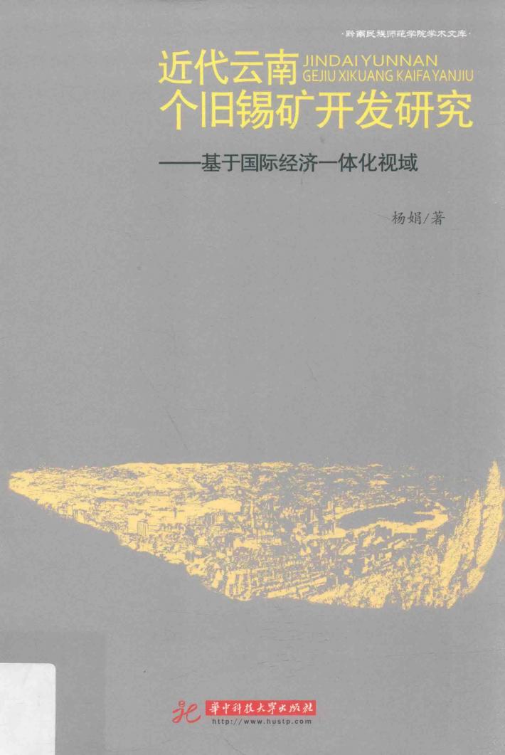 近代云南个旧锡矿开发研究  基于国际经济一体化视域 封面
