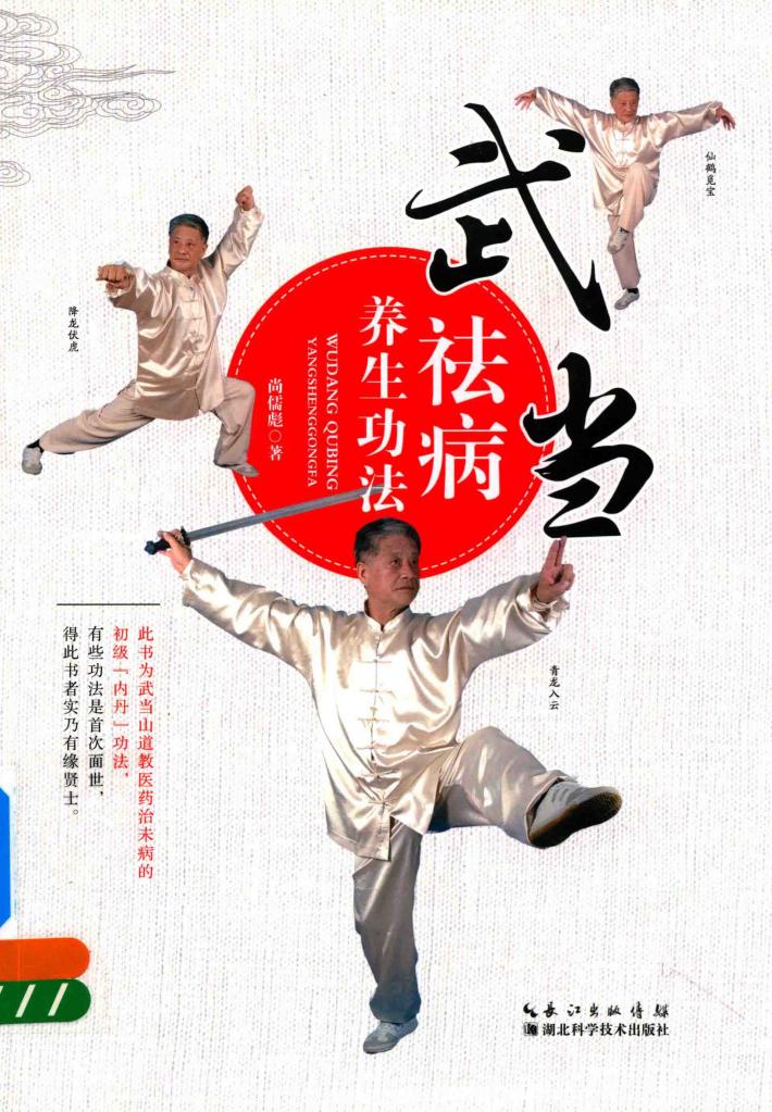 武当祛病养生功法 封面