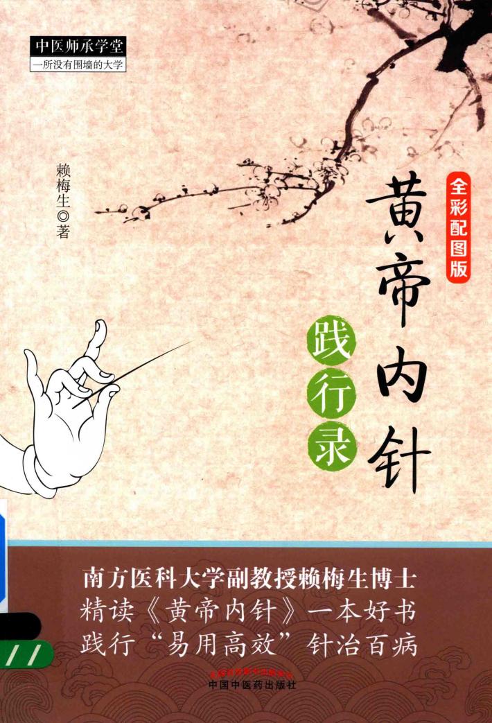 黄帝内针践行录 全彩配图版 封面