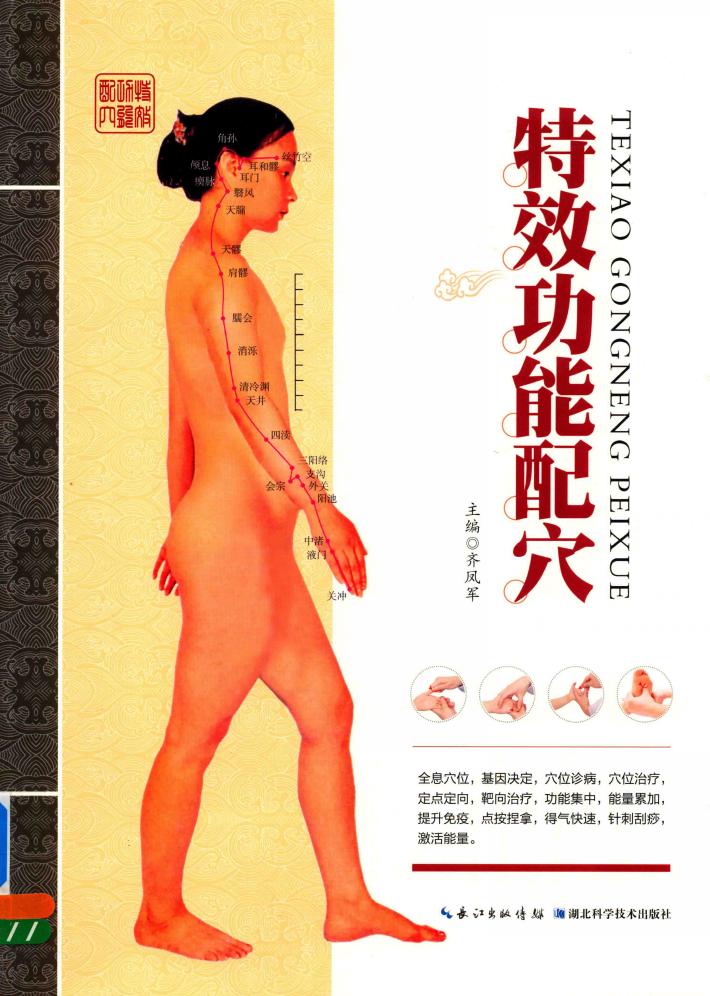 特效功能配穴 封面